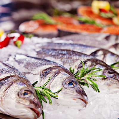 Erudus United Around Food Data Erudus United Around Food Data