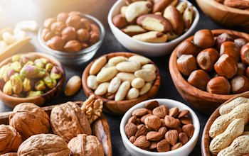 The different types of Tree Nut 