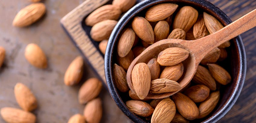 The different types of Tree Nut - Almonds