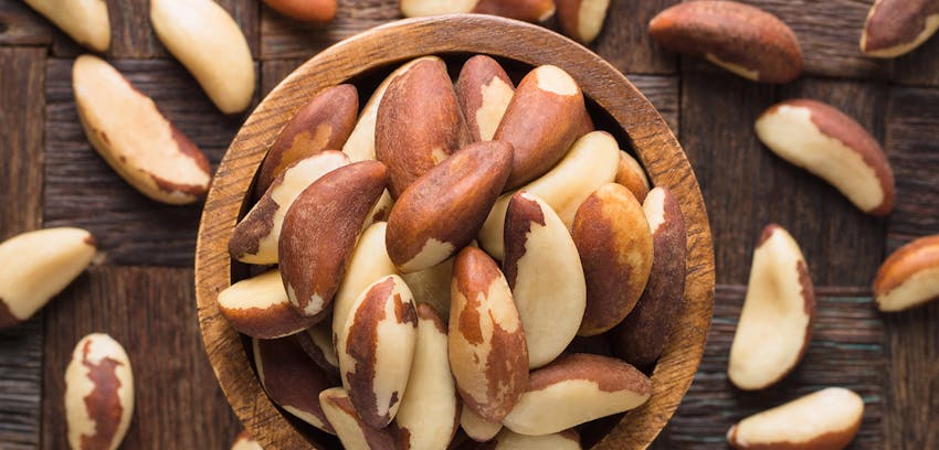 The different types of Tree Nut - Brazil nuts
