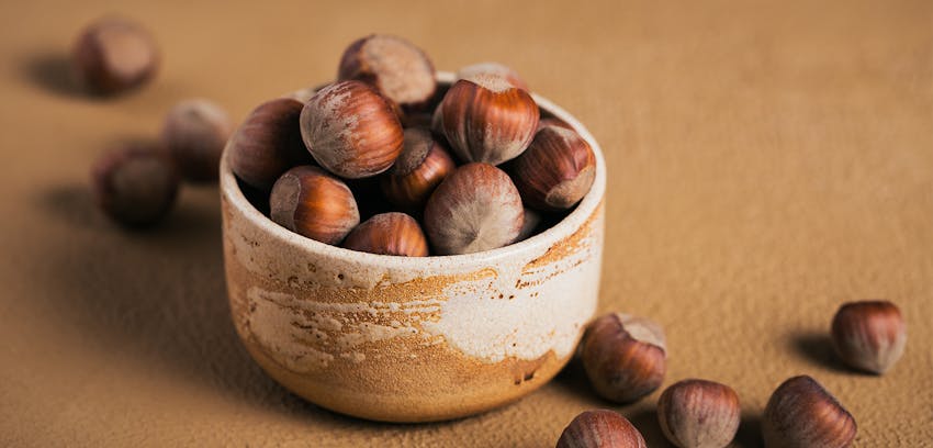 The different types of Tree Nut - Hazelnuts