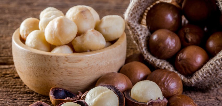 Different types of Tree Nut - Macadamia nuts