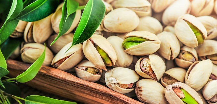 Different types of Tree Nut - Pistachios 