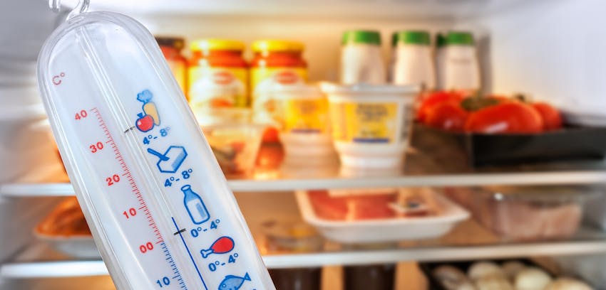 Food Safety Cheat Sheet: Chilling Foods Guidance - fridge thermometer