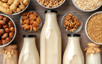 Best Plant Milks Guide