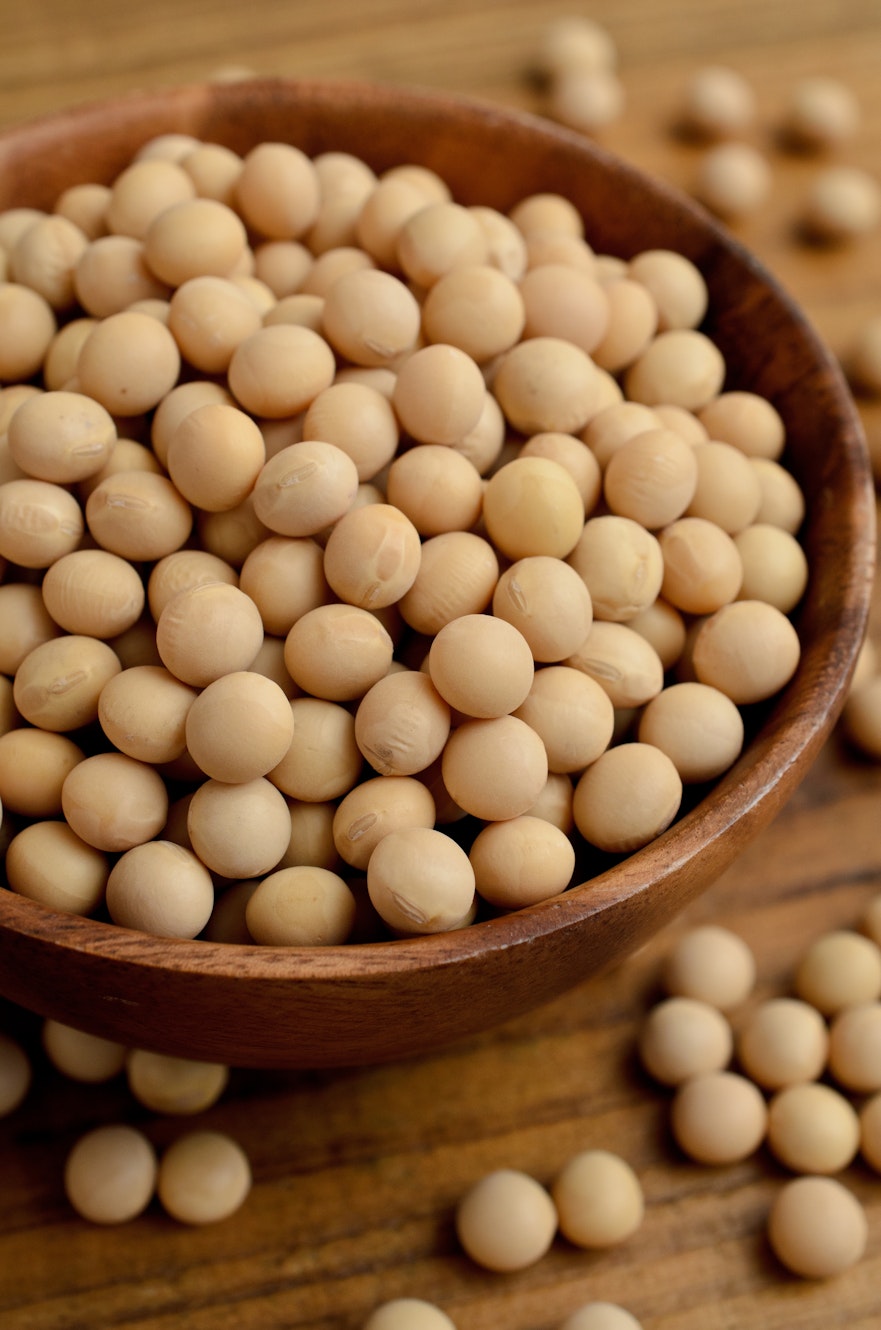 Best Plant Milks Guide - Soya for Soya milk Best Plant Milks Guide - Soya for Soya milk