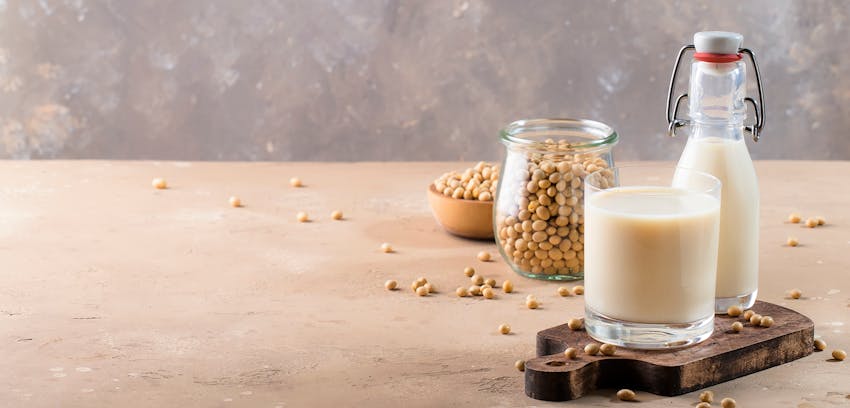 Best Plant Milks Guide  - Soya milk