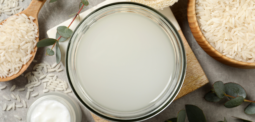 Best Plant Milks Guide - Rice milk Best Plant Milks Guide - Rice milk