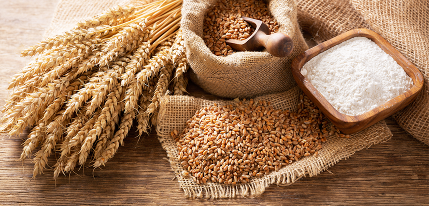 14 Allergens: The different Cereals containing Gluten - Wheat