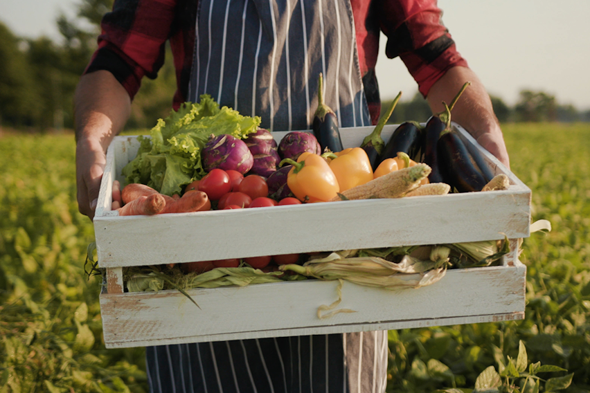 What is organic food? What is organic food?