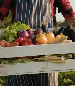 What is organic food? What is organic food?