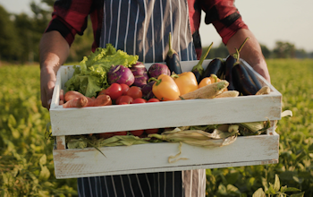 What is organic food? What is organic food?