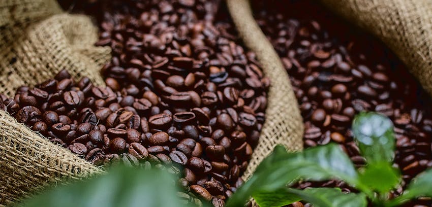 Best coffee drinks for any situation - coffee beans