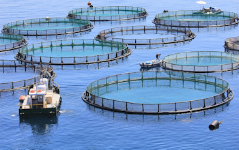 Erudus… Provides Best Aquaculture Practices (BAP) Certification