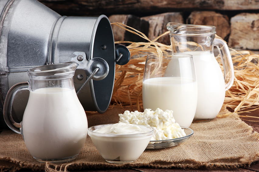 What are dairy foods?