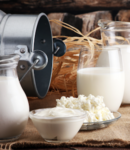 What are dairy foods?
