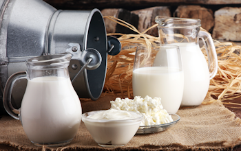 What are dairy foods?