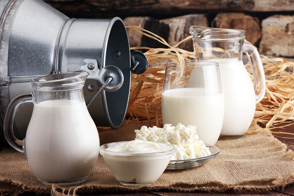 what-are-dairy-foods