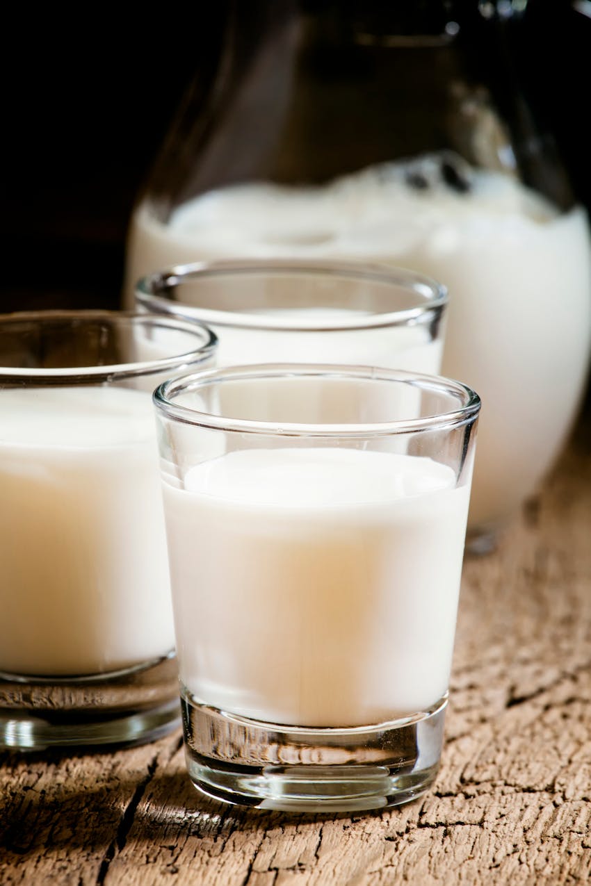 What are dairy foods?