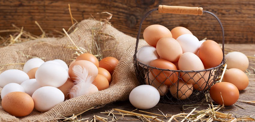 What are dairy foods? - Eggs are not a dairy food