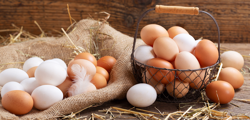 What are dairy foods? - Eggs are not a dairy food