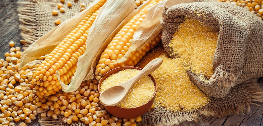 Vegans and allergies - corn