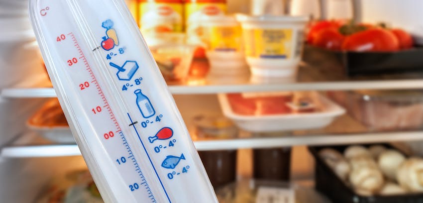 Making food go further - fridge temperature