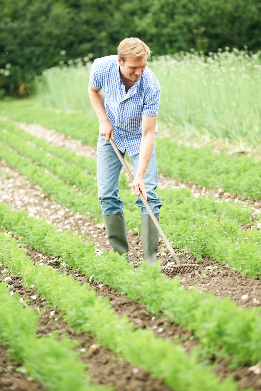 Erudus provides Organic certification - organic farming practices