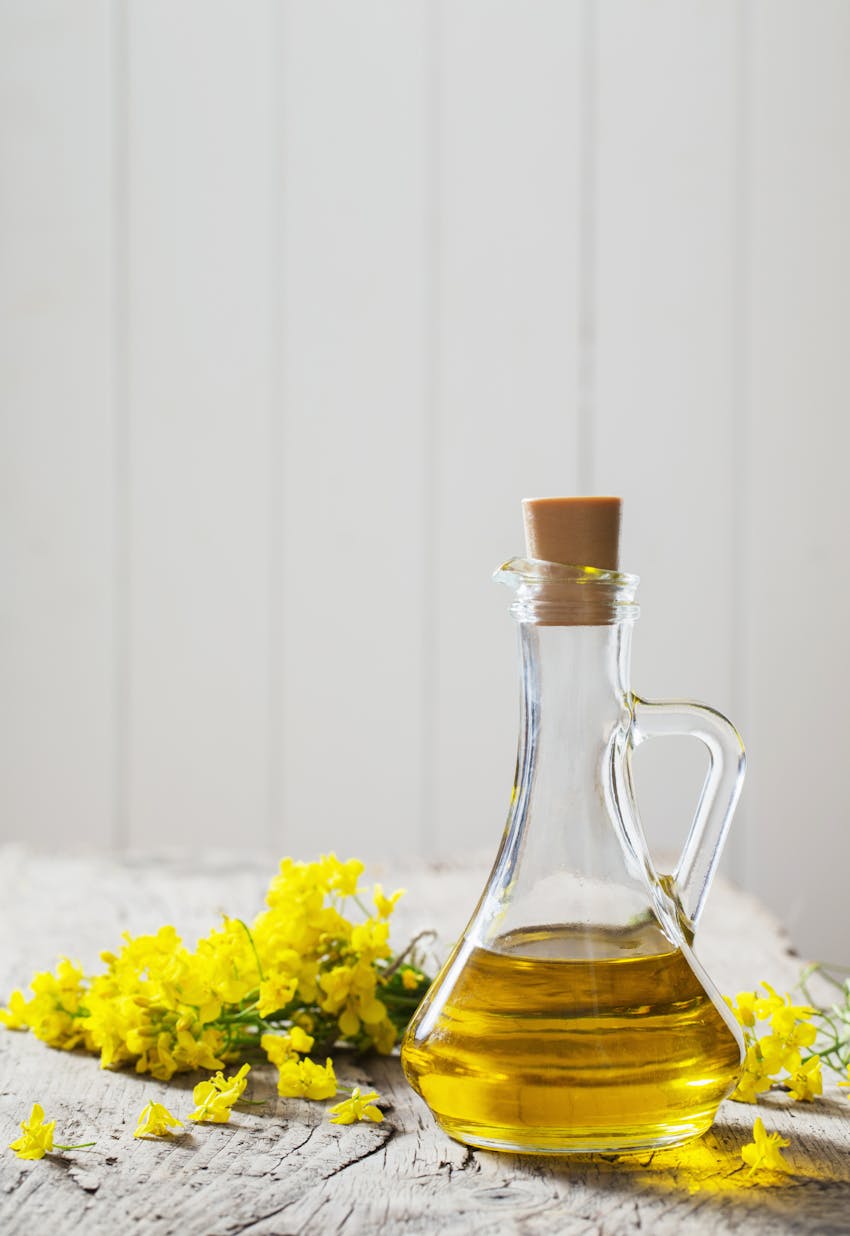 Best cooking oil for every situation - canola/rapeseed oil