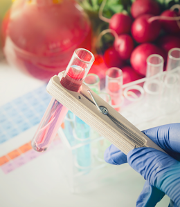 What you need to know about Genetically Modified Foods and Precision Breeding What you need to know about Genetically Modified Foods and Precision Breeding