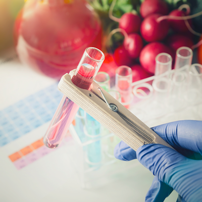 What you need to know about Genetically Modified Foods and Precision Breeding