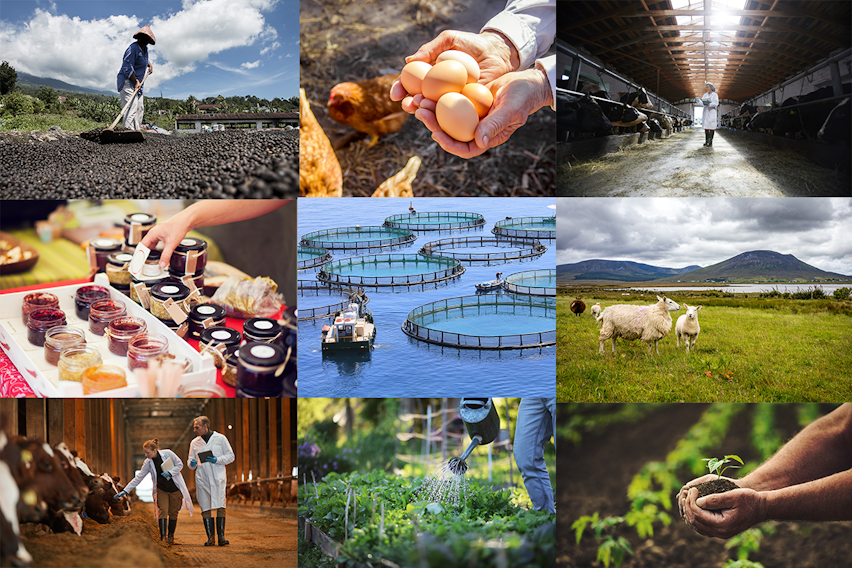 Certifications on Erudus: Full Guide Certifications on Erudus: Full Guide