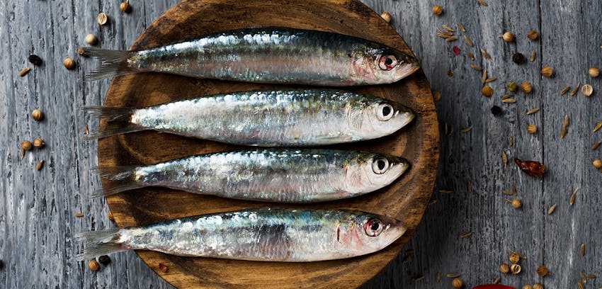 Best foods for skin - Oily fish