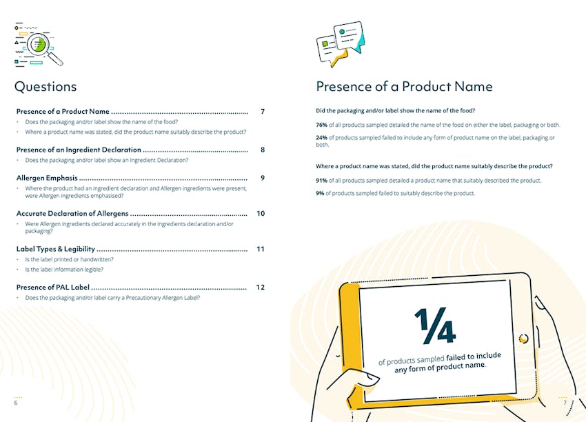 PPDS Report - Sample of pages