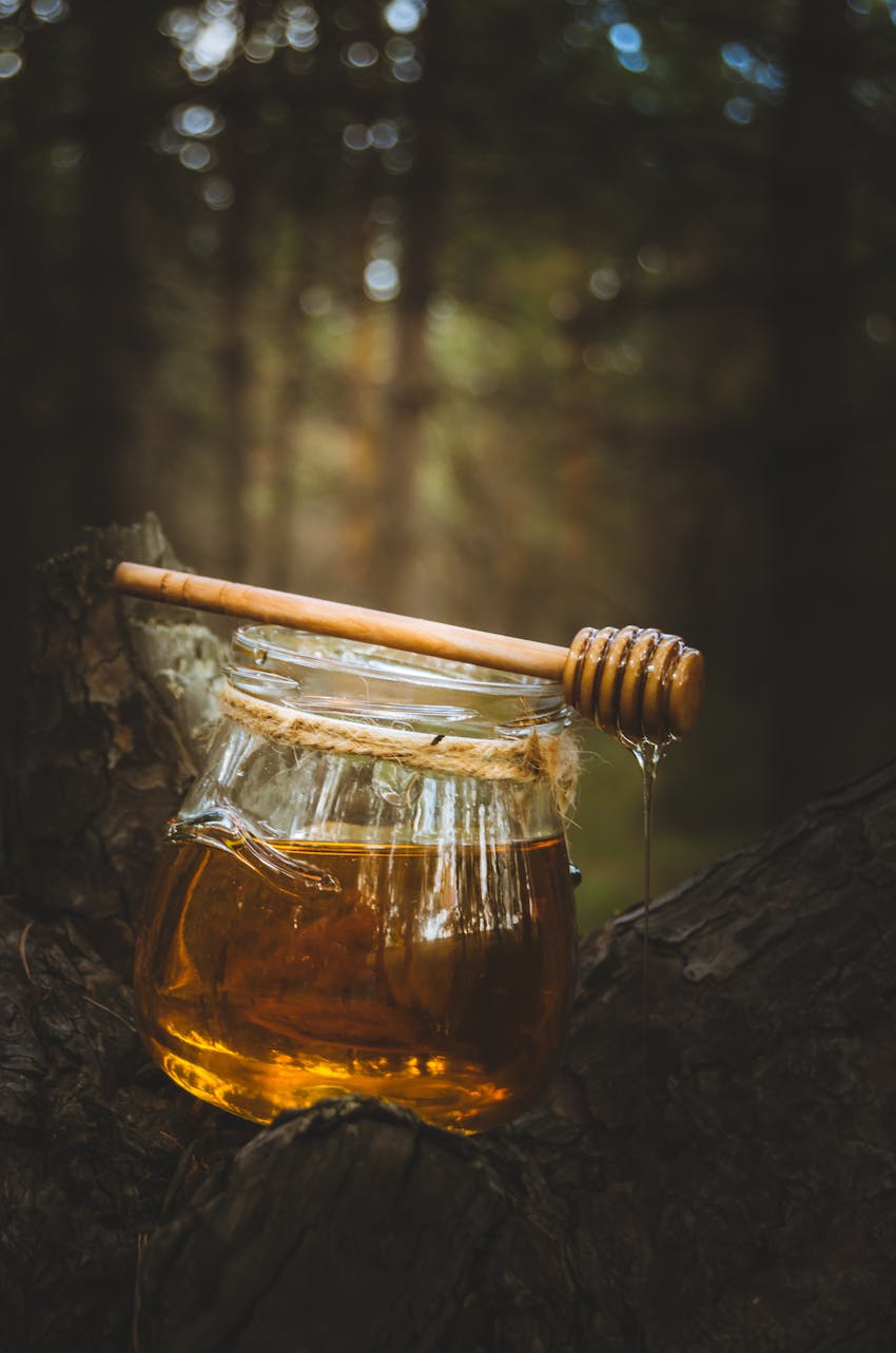 Most romantic foods - honey in jar