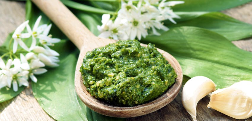 Seasonal foods for February and March - Wild garlic