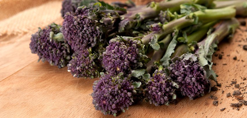 Seasonal foods for February and March - Purple sprouting broccoli