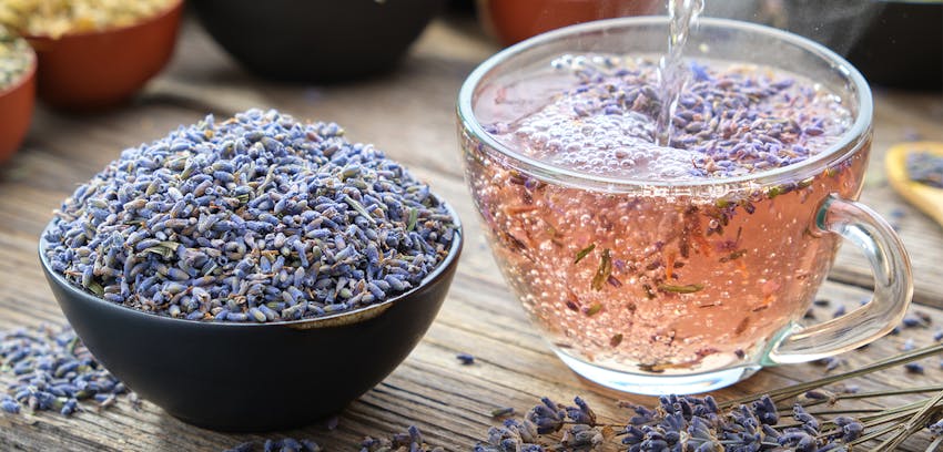 The best food and drinks for sleep  - Lavender