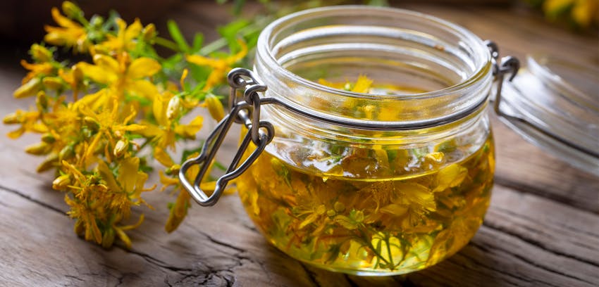 The best food and drinks for sleep - St John's Wort