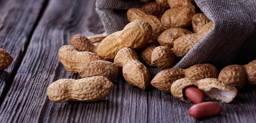 Allergen and allergy FAQs - Peanuts