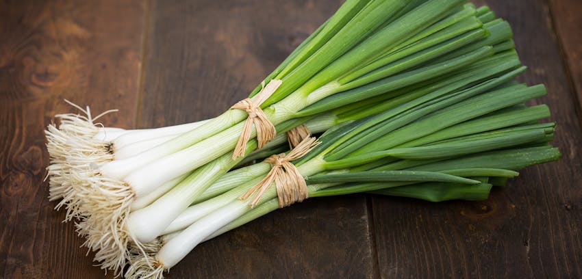 Spring foods and drinks - spring onions