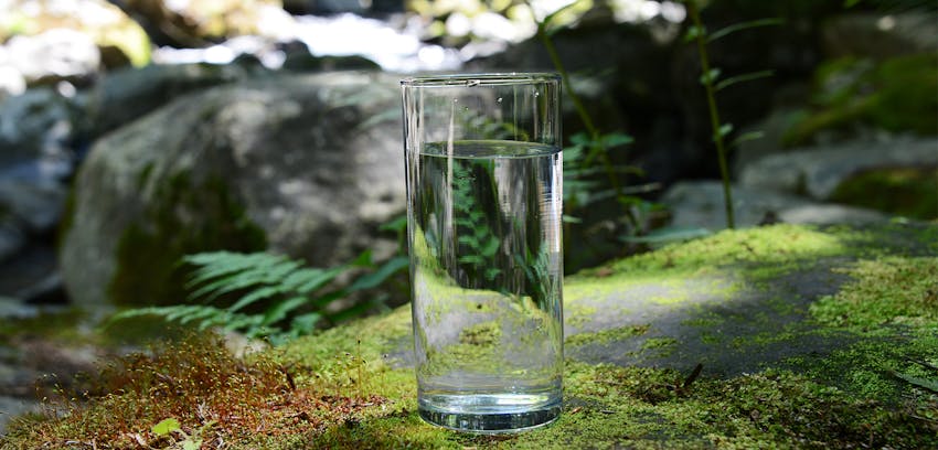 Spring foods and drinks - Spring water