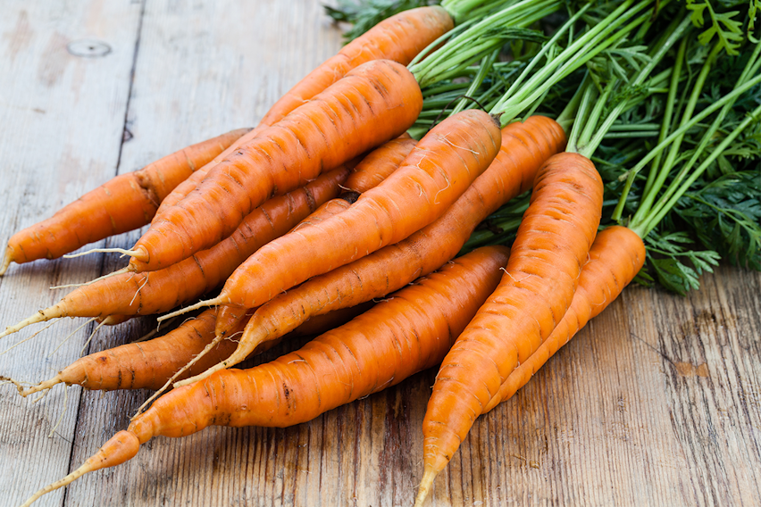 Best carrot recipes and menu ideas Best carrot recipes and menu ideas