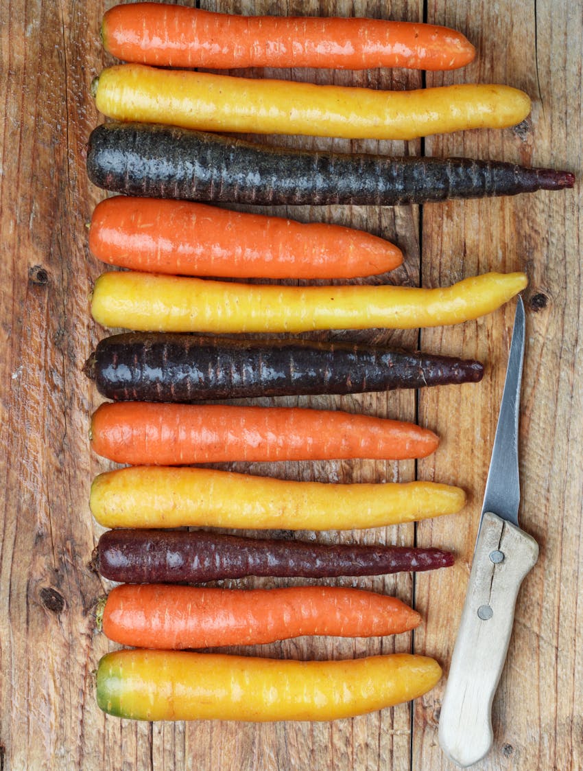 Best carrot recipes and menu ideas - different colours of carrots