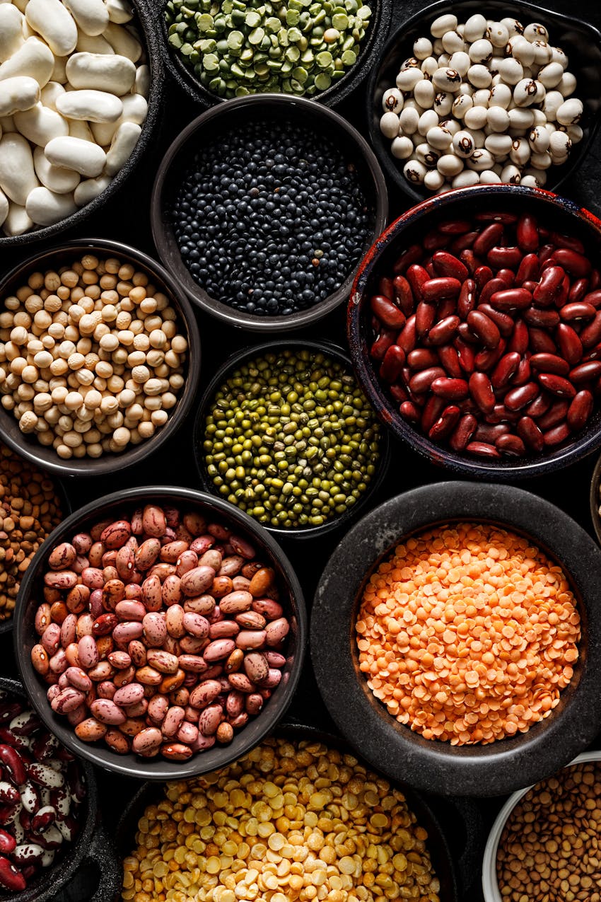 Everything you need to know about plant-based diets - lentils