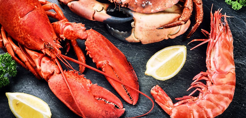14 Allergens - What to look for on the label - Crustaceans