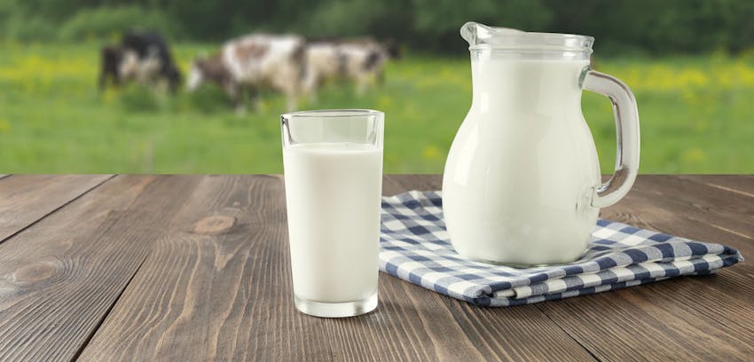 14 Allergens - What to look for on the label - Milk