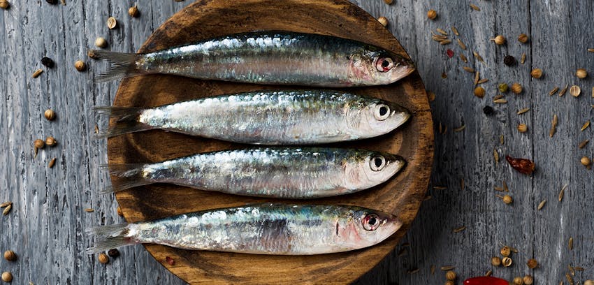 Best foods for women's health - Sardines
