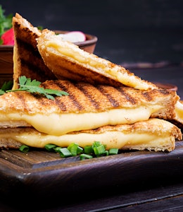 Cheese toastie ideas and top tips Cheese toastie ideas and top tips