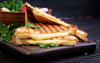 Cheese toastie ideas and top tips Cheese toastie ideas and top tips